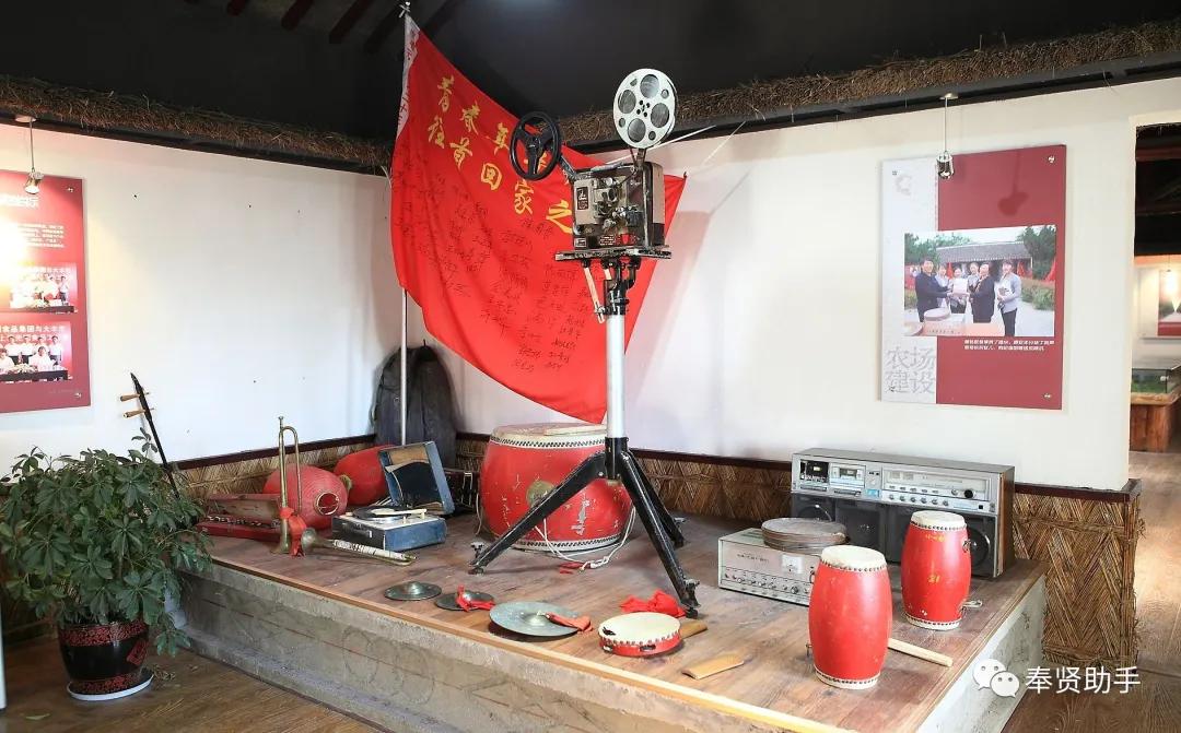 奉贤区南桥镇旅游景点,上海奉贤景点推荐一日游最佳路线