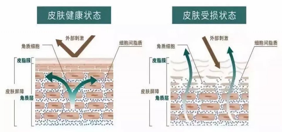 “睡渣”也能神采奕奕,修仙*党**们都用什么解决缺觉难题?