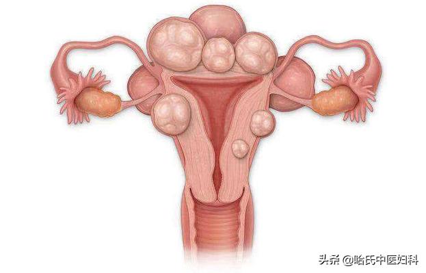 38岁得了卵巢早衰怎么办呢,47岁女人卵巢衰老怎么治疗