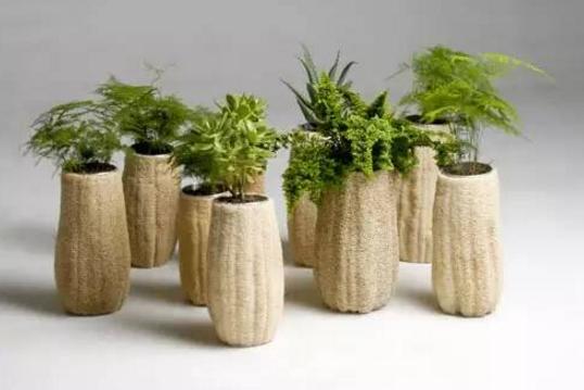 丝瓜养花,老丝瓜有什么用