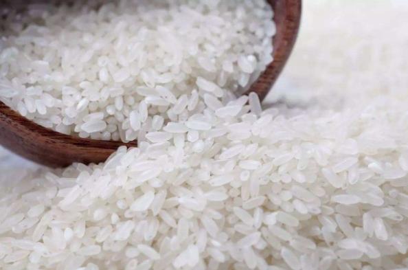 已生虫的大米生虫子处理小诀窍,大米里面生虫很多怎么办