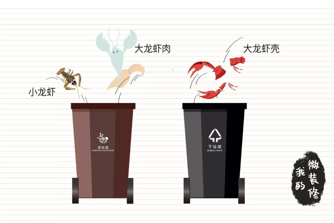 关于垃圾分类你想知道什么问题,关于垃圾分类那些你不知道的事