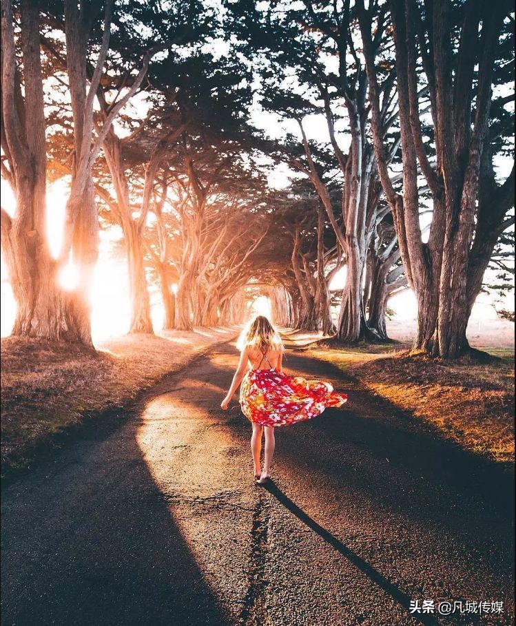 六款专业修图app的特别之处,相片后期修图app