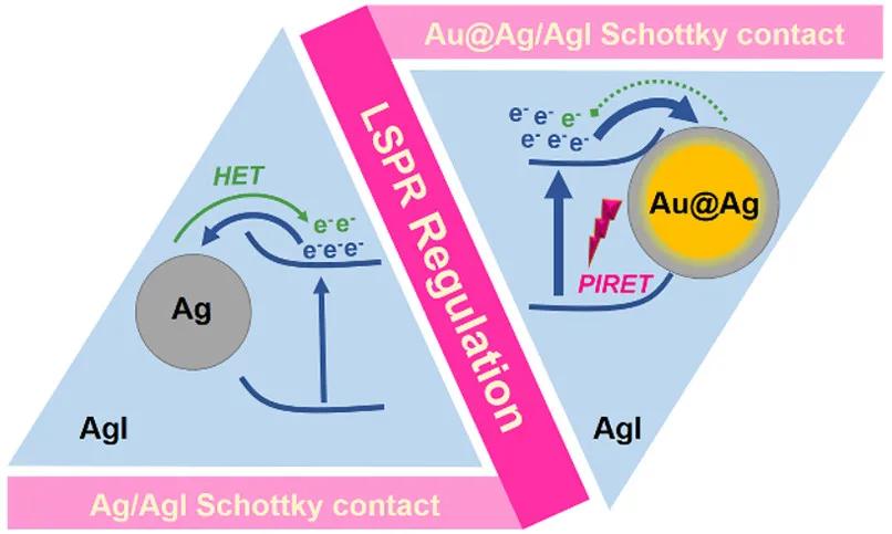 南京师大三篇「JACS」在纳米生物传感体系设计获系列进展
