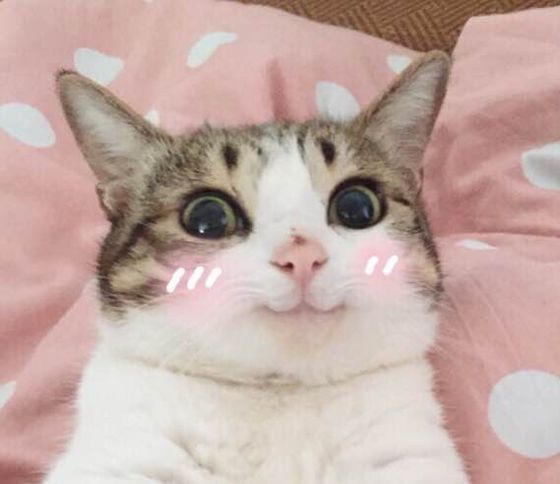 娇韵诗清爽和滋润,娇韵诗的优点