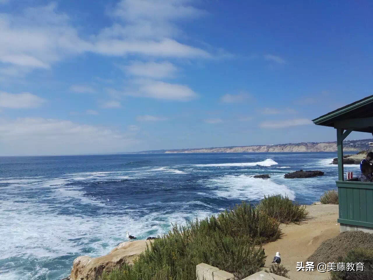 年薪500万美元的工作有哪些,年薪5万美金工作