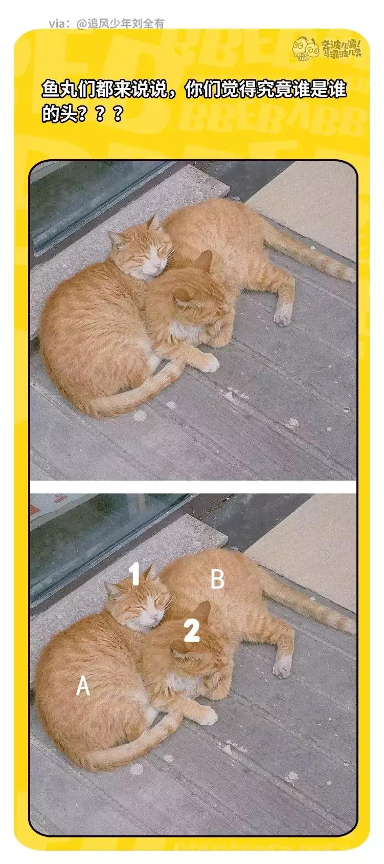 朋友结婚随礼金给多少,我24岁朋友结婚礼金给多少合适