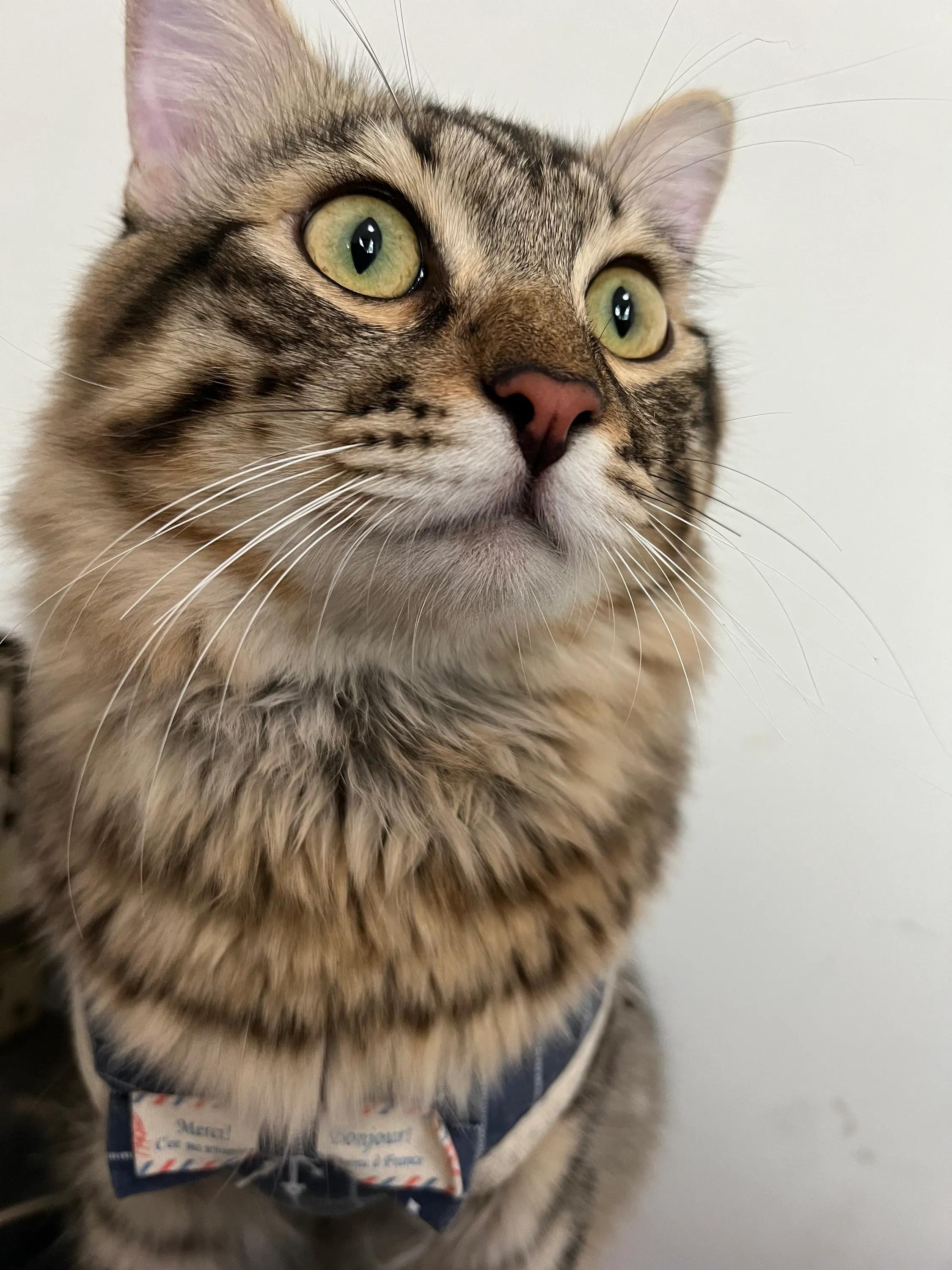 iphone13被曝翻车,你的iphone13真的是原封吗