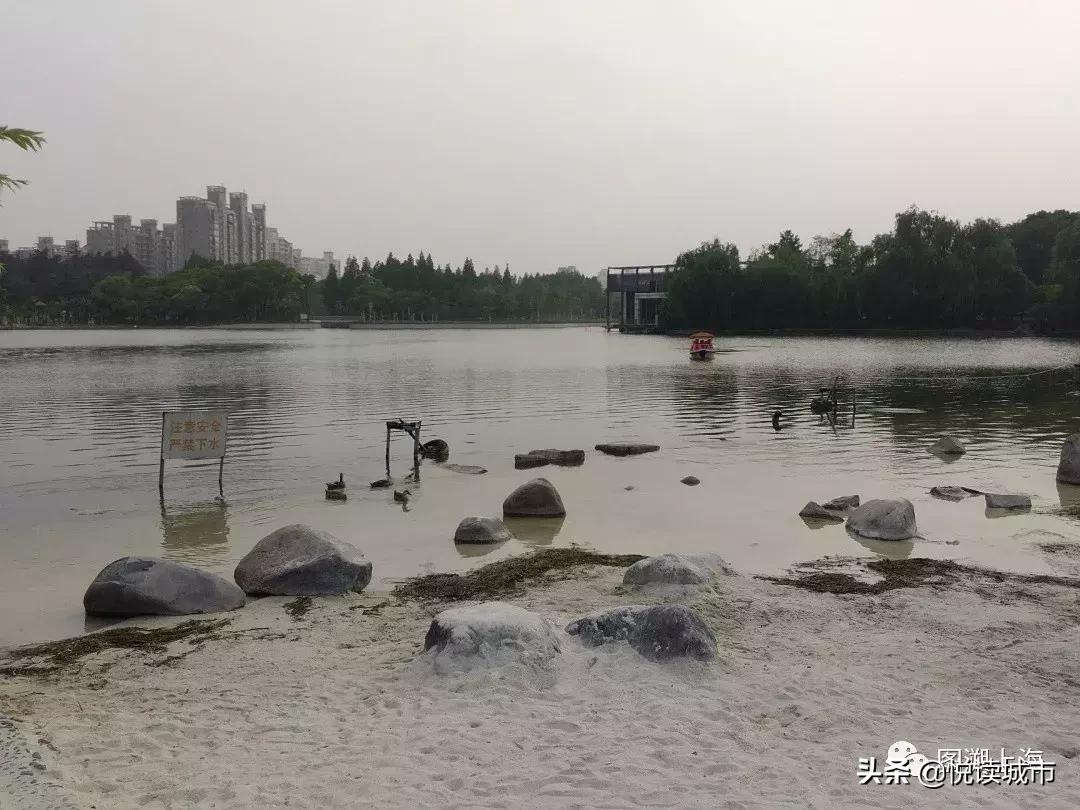 回顾历史:从80年代大宁地区到现在的大宁公园和大宁国际商业广场