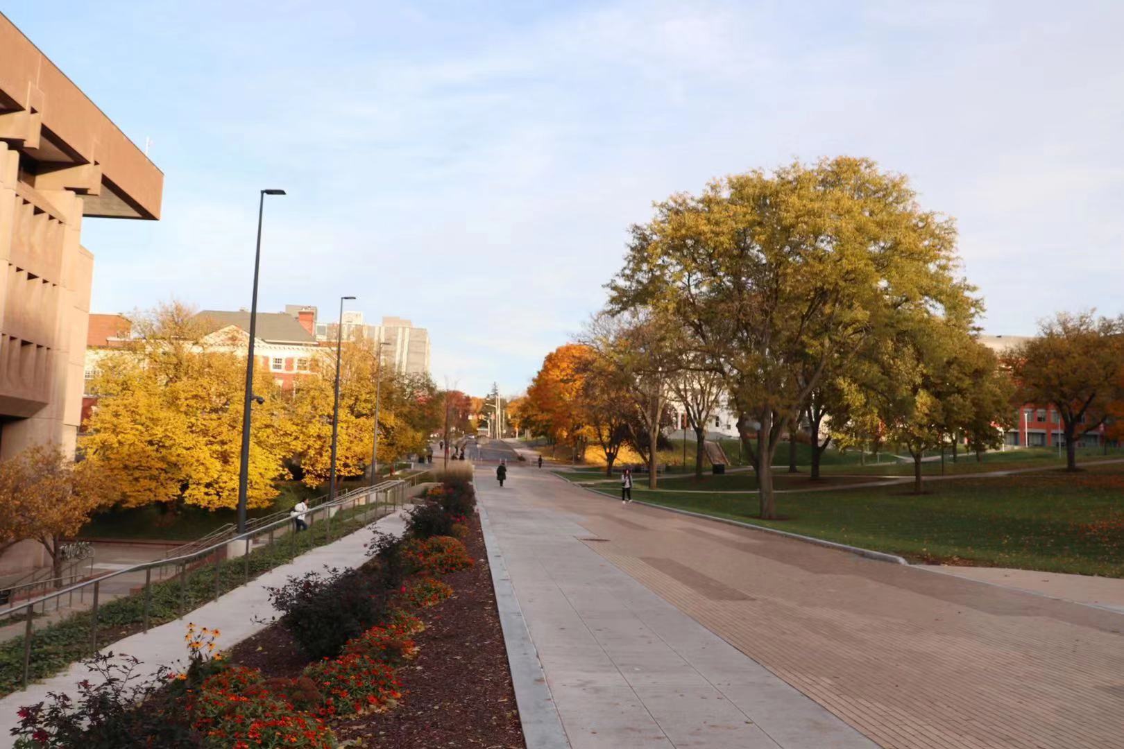 美国名校康涅狄格大学，相当于中国什么档次的大学？