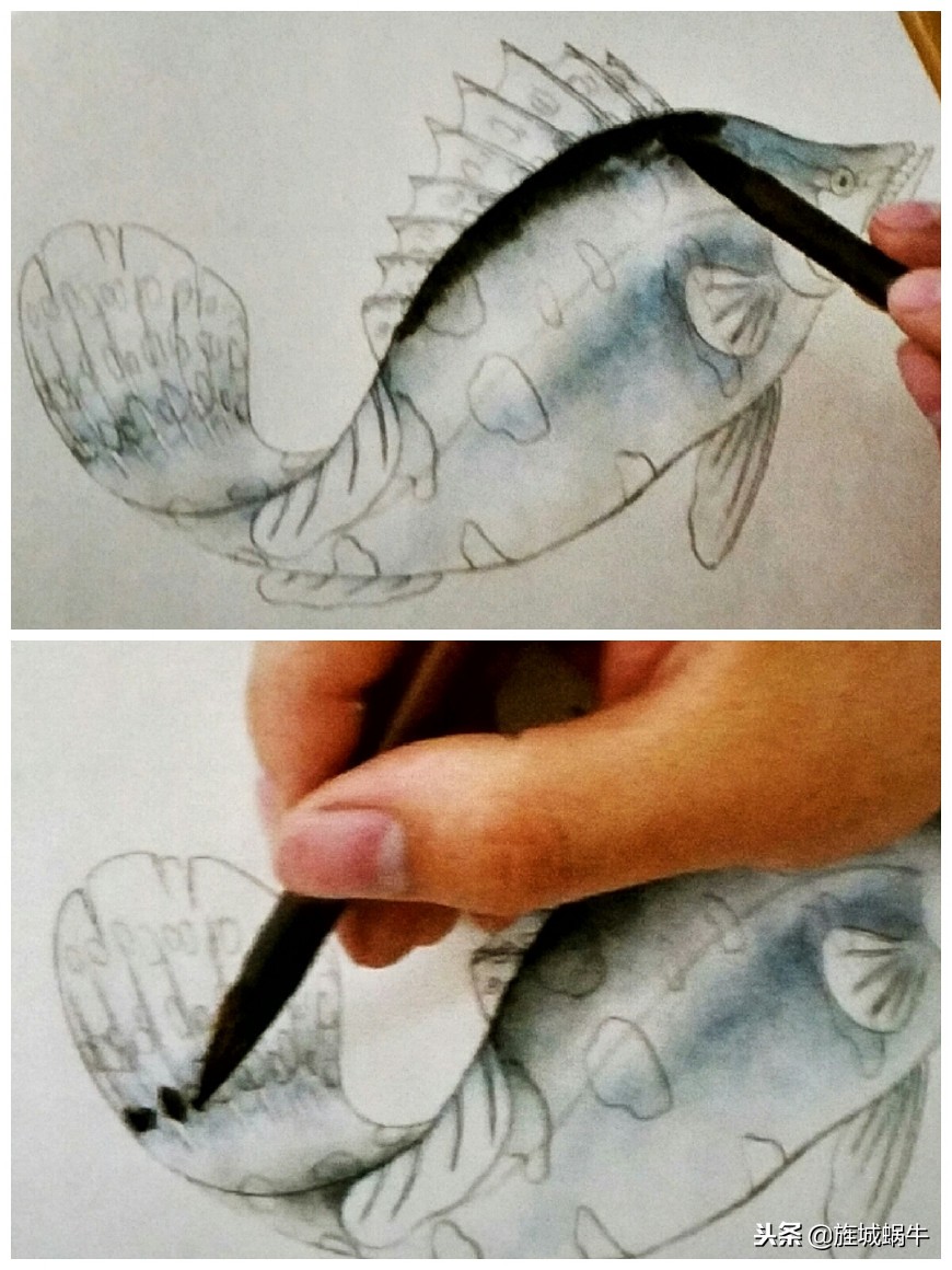 鳜鱼画法小视频,鳜鱼工笔画法视频