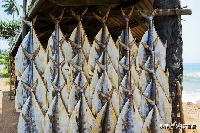 斯里兰卡旅游必购物品图片,斯里兰卡旅游商品