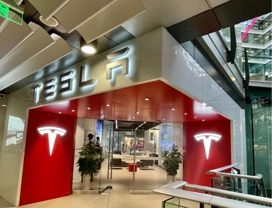 撸猫剧本杀新都,济南撸猫剧本杀