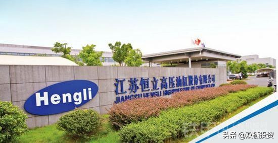 国产液压元件厂家,国产恒立液压泵图片