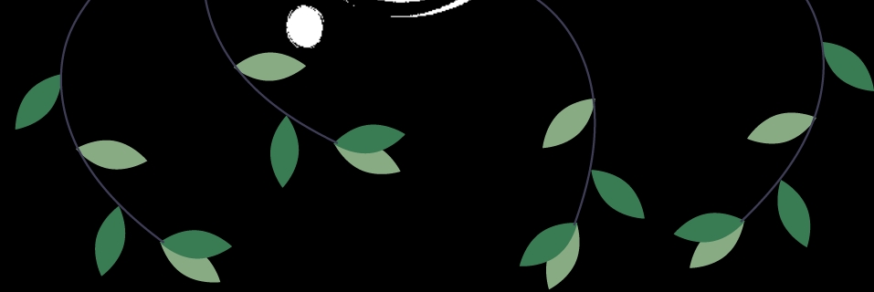 idp怎么申请,IDP团队管理能力