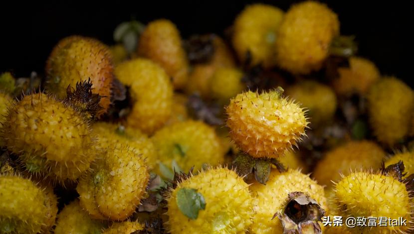 他毕业即失业，在困境中找商机，半年赚到800万