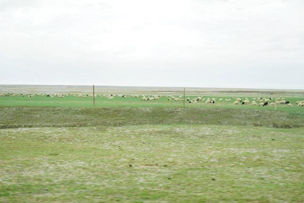 全新标致4008环青海长测Day5:感受恶魔之眼,茫崖翡翠湖爆赞!