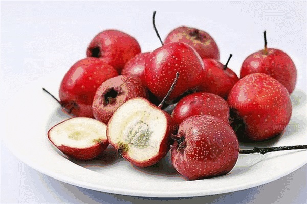 胃里面好像有石头一样吃什么药,胃里好像有个石头一样是怎么回事