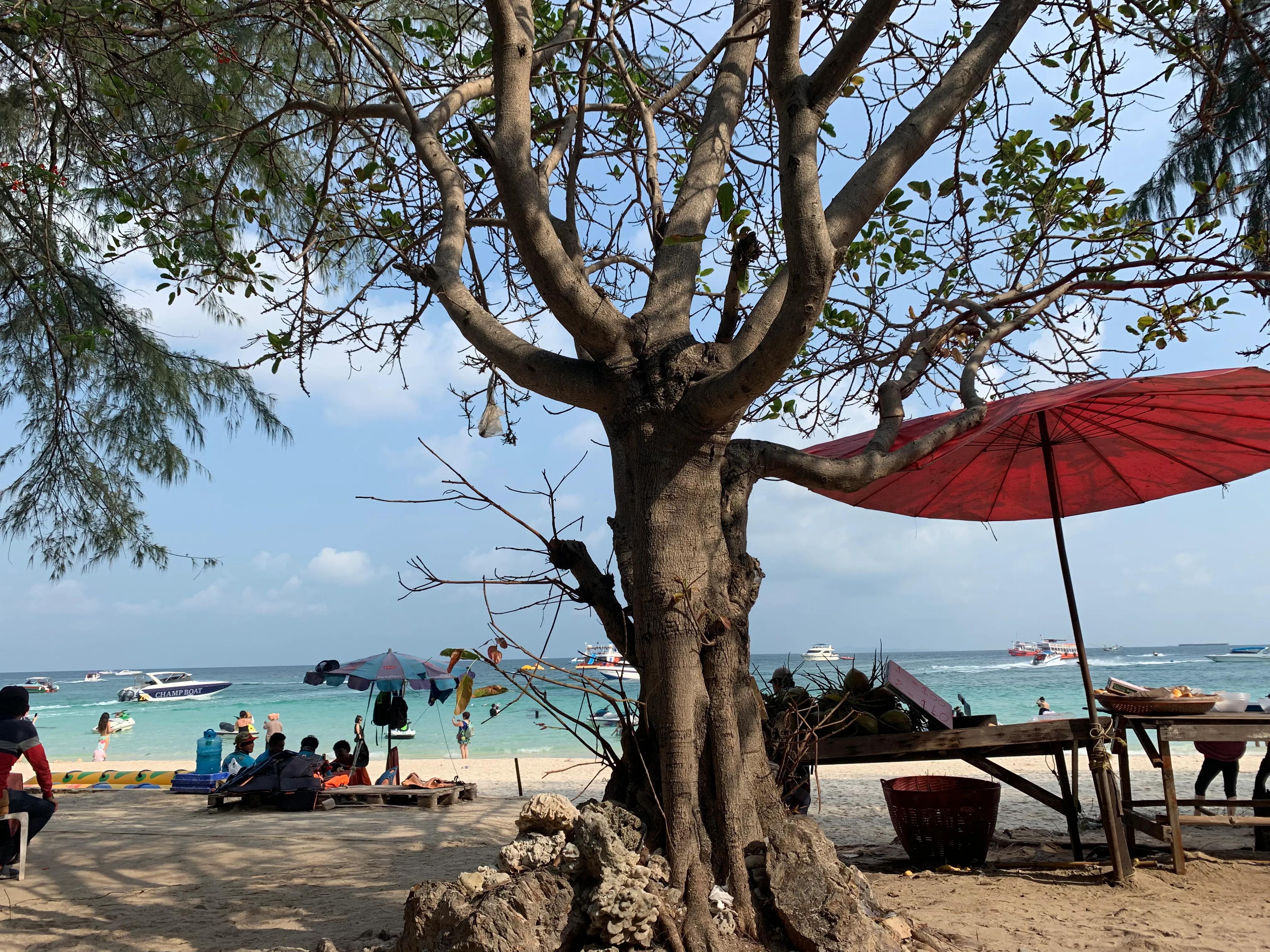 泰国芭提雅美沙岛游记,2019年泰国旅游数据