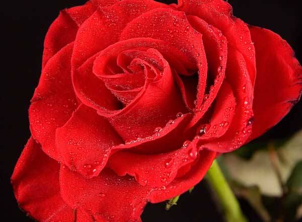 中考名著导读与精练,中考名著阅读全册