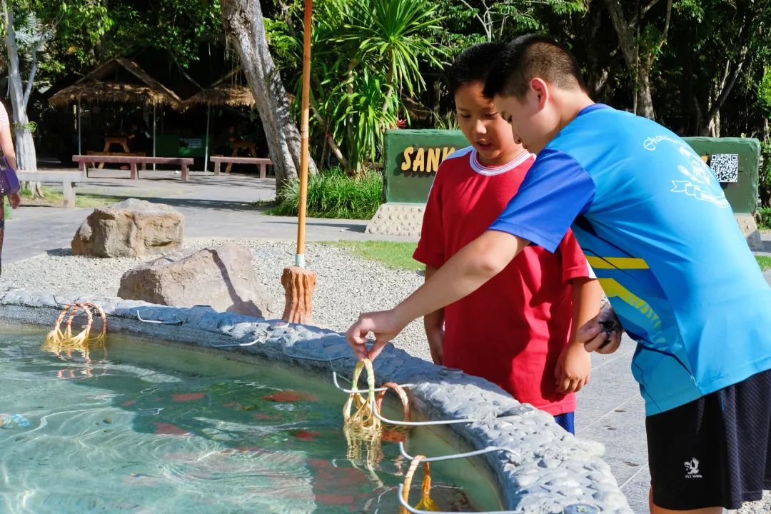 清迈美食攻略大全,最新清迈美食攻略