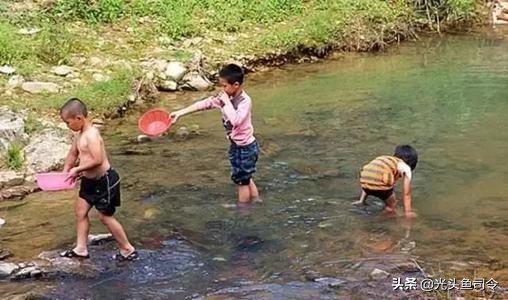 下雨天用麦子钓鱼,用小麦钓鱼没口啥情况