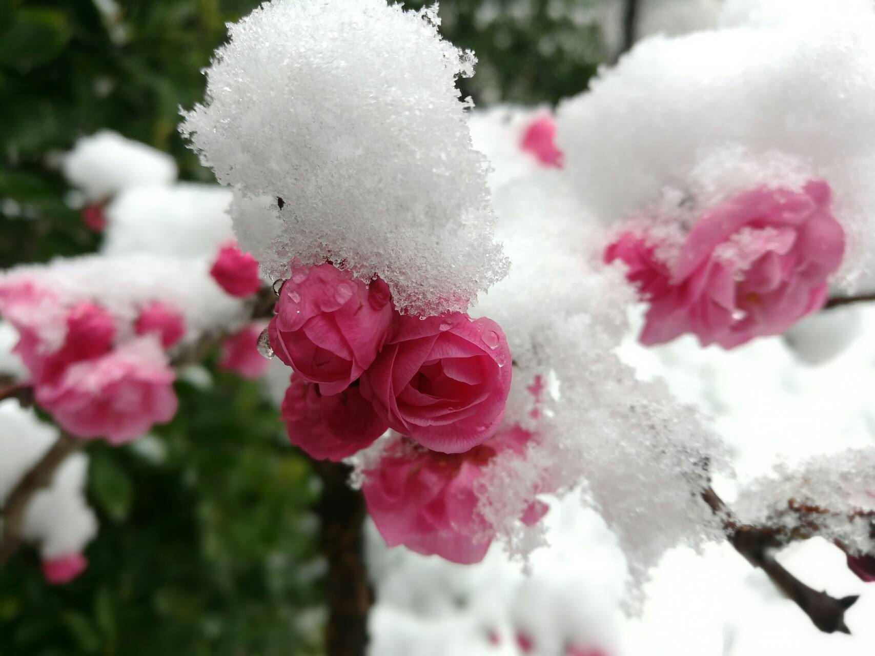 大寒节气是哪一天开始,大寒节气在一年的什么时候