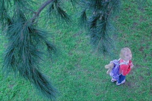 我是山姆中令人感动的情节,我是山姆感悟100字