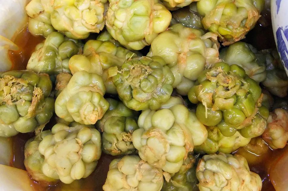 芥菜凭一己之力撑起了川人四季的蔬菜配额