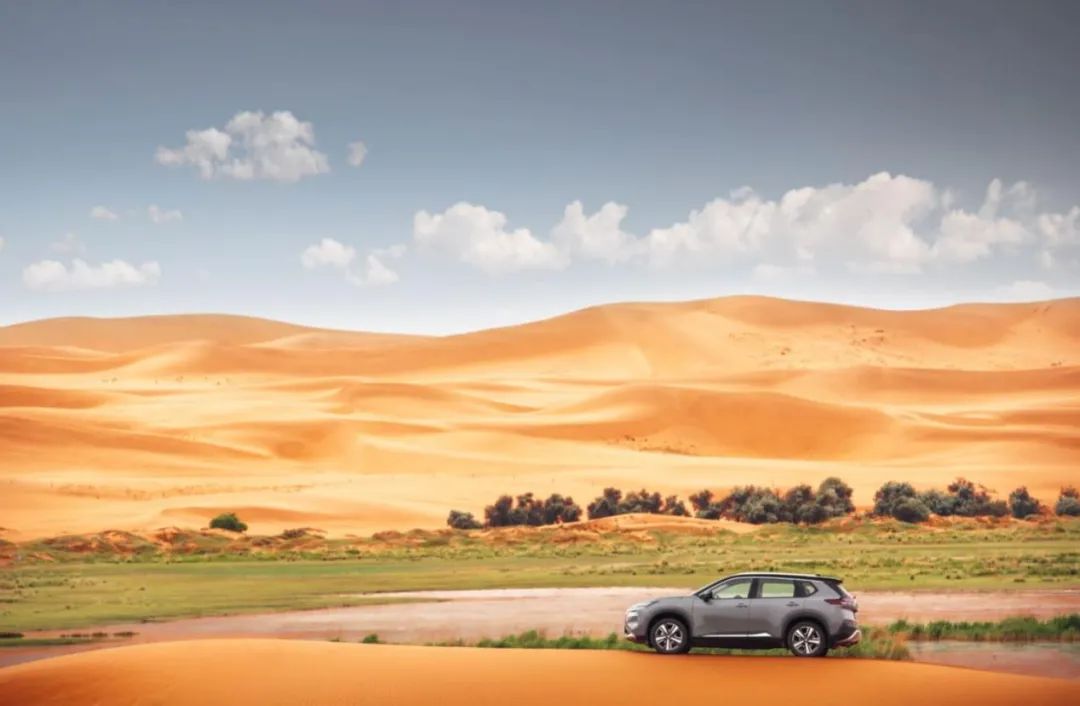 内蒙古阿拉善沙漠试驾全新奇骏,林燃后续完整版