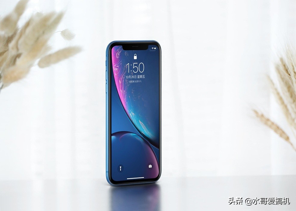 更适合入手iphonex还是iphonexr,iphonexr和iphonex哪个信号好