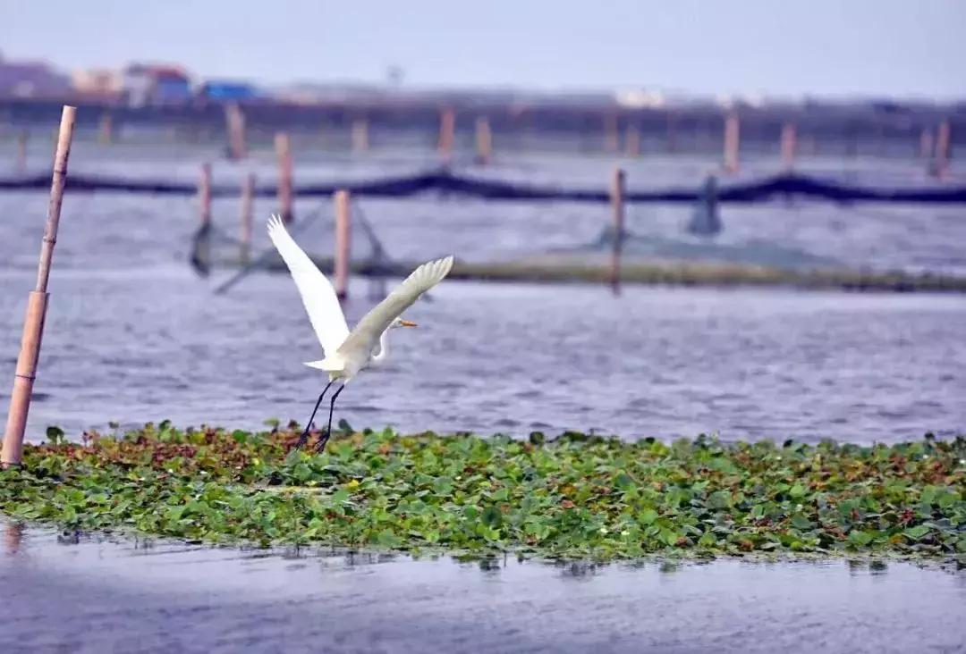 中国最富有的县有哪几个,中国最富有的地级市是哪里