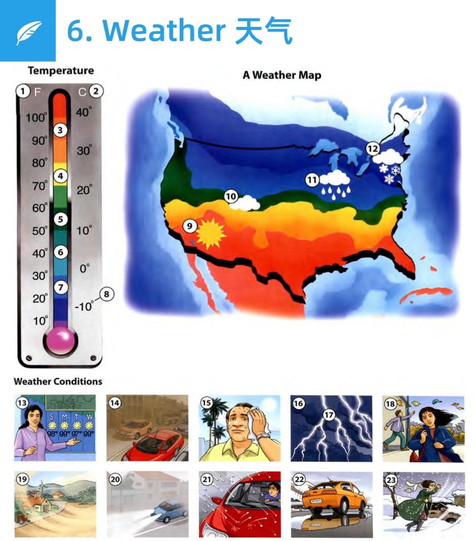看完这30张图，轻松学会600个常用单词，太实用了