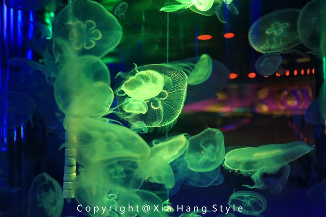 横店梦幻谷拍照景点,亲子游横店梦幻谷水世界