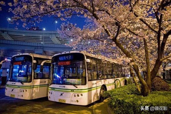 在日本100日元能买什么,100日元在日本能买什么