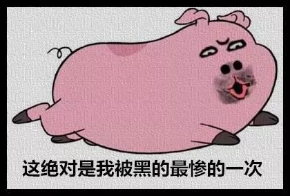 这一次我承认输给了“猪”！