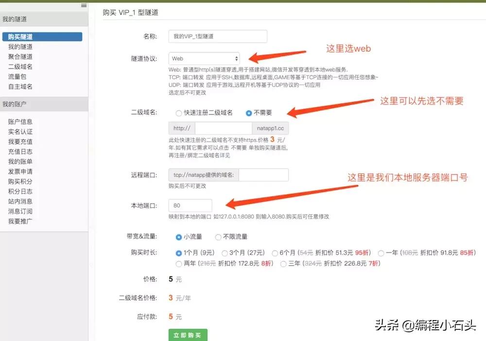 内网穿透服务器搭建教程,低成本搭建内网穿透服务器