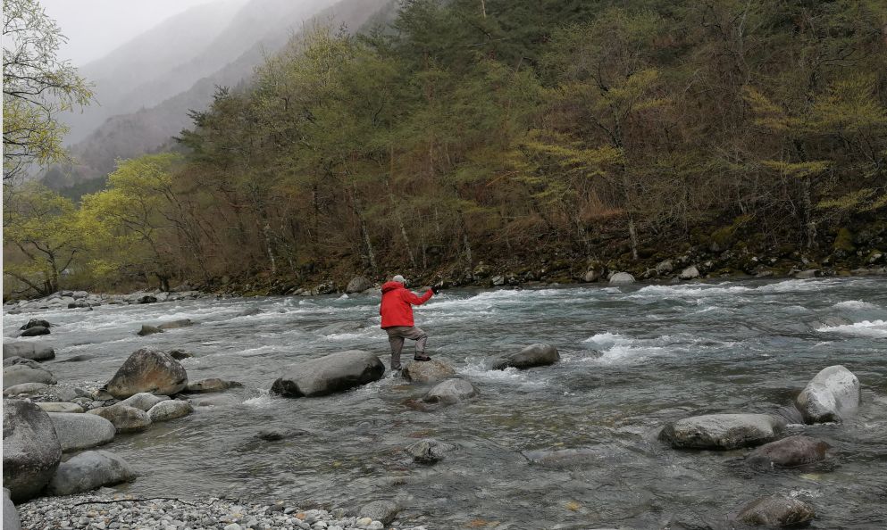 外国游客在日本钓鱼是一个什么样的体验?