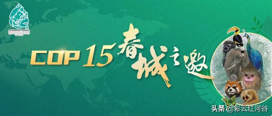 中国云南哪里好看,云南的云彩为什么好看