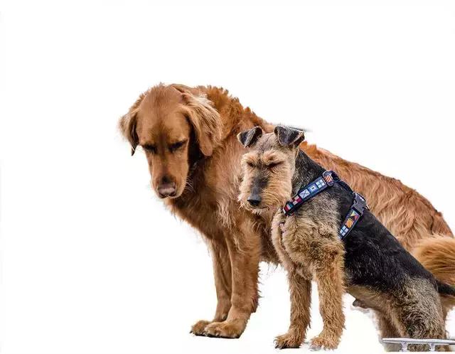 ps转换点工具快捷键是什么,ps常用快捷键大全帮助快速学成