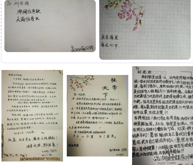 鱼跃此时海,花开彼岸天——南充高中北部新城校区名师刘鱼海印象