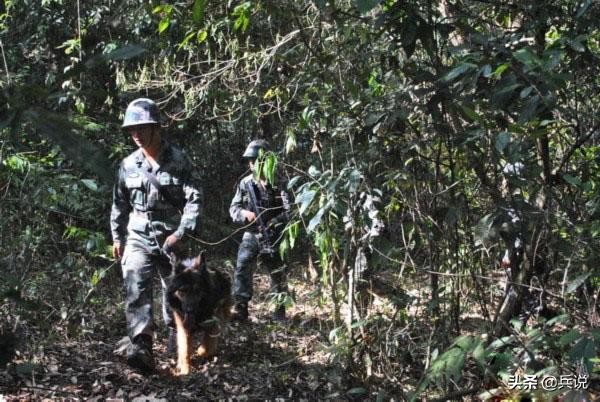 丛林集训“三无三定”：什么东西都可以少带，唯独食盐不能少