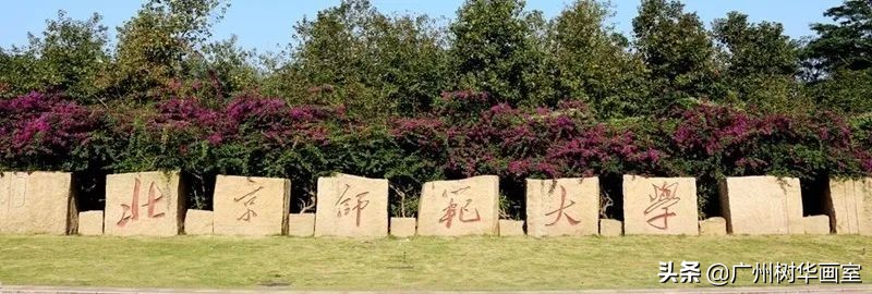 广东轻工职业技术学院美术生分数线,美术大学排名及录取分数线广东