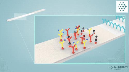 新冠测试纸是谁研制的,新冠测试纸原理