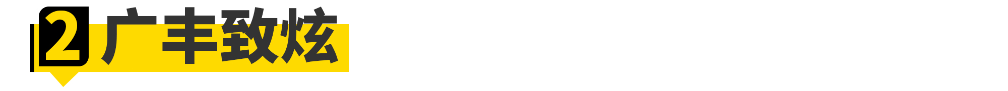 2.0t最便宜的驾驶者之车,性能强劲的驾驶者之车