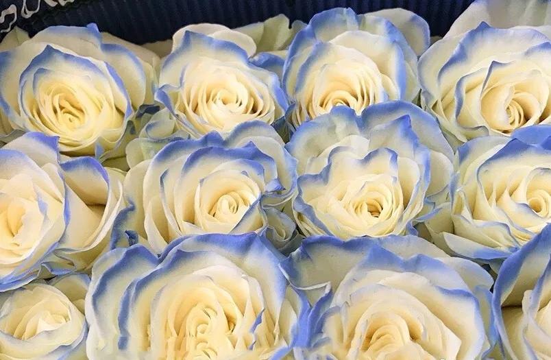 花店热销花,热卖鲜花花束