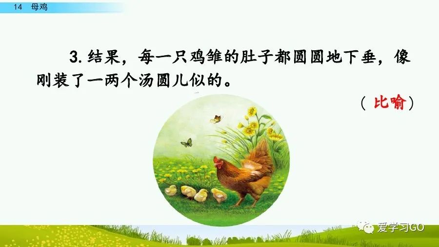 四年级下册语文母鸡课文重点讲解,四年级下册语文14课母鸡重点知识