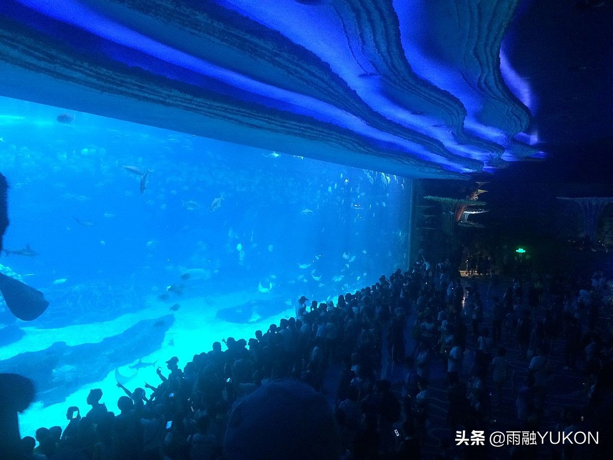 全球第一海洋公园：号称中国民族品牌第一乐园，约400元门票