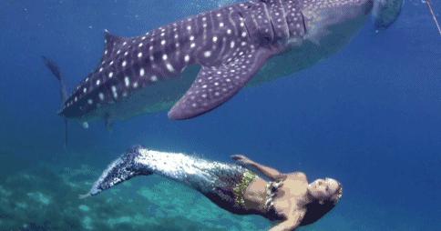 比马尔代夫更美的国家,比马尔代夫还美丽