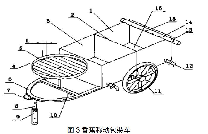 高产香蕉种植与管理技术,香蕉种植高产秘诀